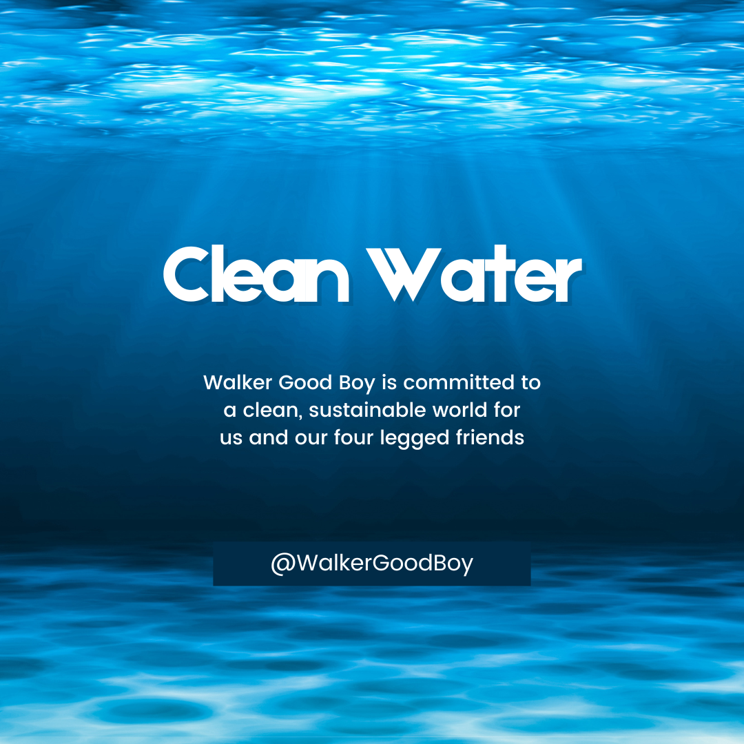Addressing Water Pollution and Public Health: The Pooch Perspective