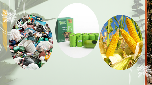 Petro-Based Plastic vs. Vegetable-Based Plastic: The Environmental Impact